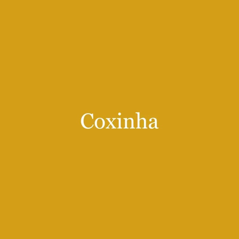 Coxinha de frango